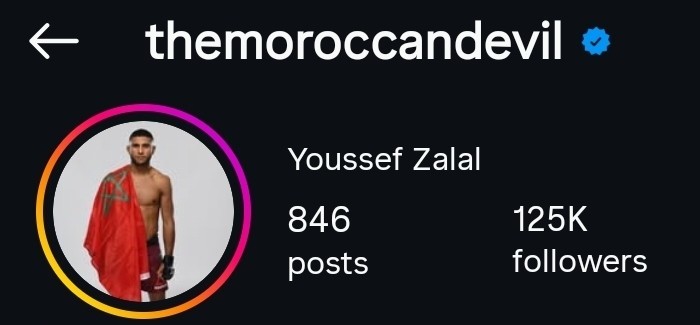 Instagram Profile Screenshot